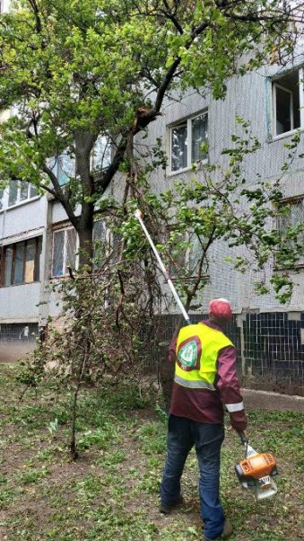 У Харкові прибирають повалені дерева після буревію